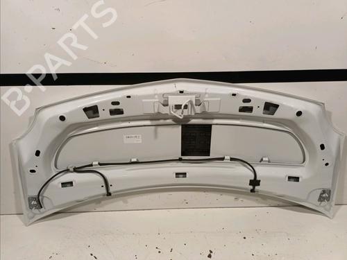 Hood RENAULT KANGOO Express (FW0/1_) 1.5 dCi 90 (FW0G, FW05, FW08, FW11) | BP18103981C1 