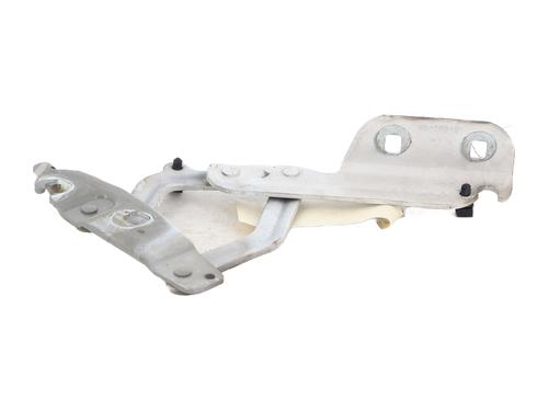 hingedoor-check-strap-ford-fiesta-vi-cb1-ccn-2008-36154823 main image