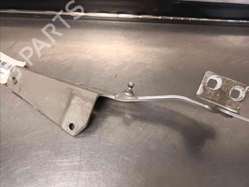 Hinge/Door check strap MERCEDES-BENZ CITAN Box Body/MPV (W415)  | BP21587407C146 