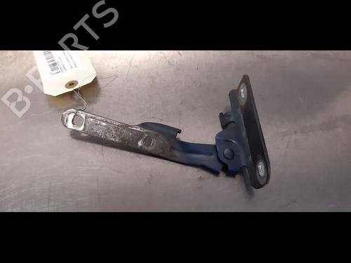Used Hinge/Door check strap DACIA LOGAN MCV (KS_) 1.5 dCi (KS0W) (86 hp) 14866013
