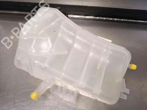 Expansion tank RENAULT KANGOO Express (FW0/1_)  | BP21139092C120 