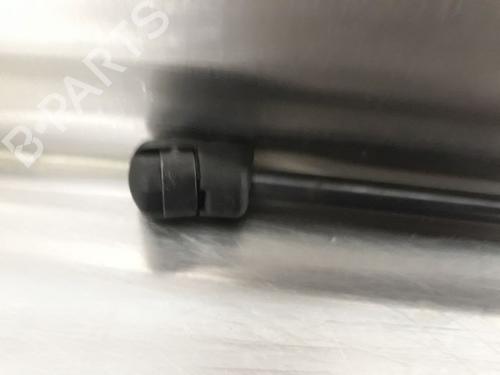Hood lift support VOLVO C30 (533) 1.6 D | BP14866180C139 