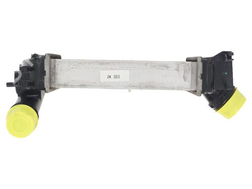 Intercooler NISSAN JUKE (F16_) 1.0 | BP28162541M30 