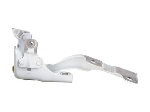 Hinge/Door check strap RENAULT SCENIC E-TECH PHASE I EV87 | BP28162563C146 