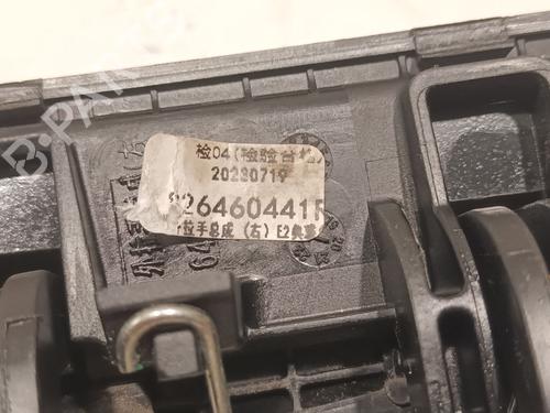 Rear right exterior door handle DACIA SPRING EV (B6M1) | BP21213303C130 