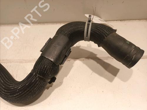 Other RENAULT MEGANE IV Grandtour (K9A/M/N_) 1.5 Blue dCi 115 (K9A6) | BP16706918O1