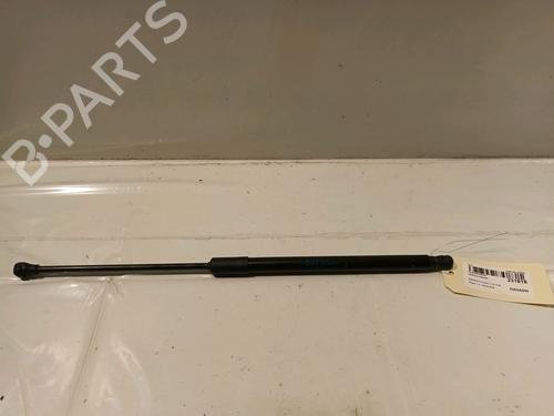 Used Tailgate lift support RENAULT CLIO V (B7_) 1.3 TCe 130 (B7MF) (131 hp) 16015511