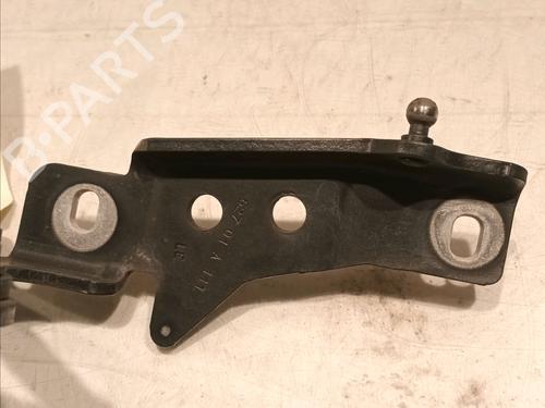 Hinge/Door check strap BMW X5 (E70) xDrive 30 d | BP15798456C146 