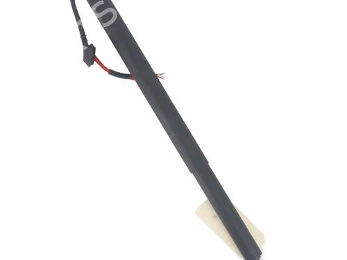 Used Tailgate lift support RENAULT SCENIC E-TECH PHASE I EV87 (218 hp) 30561582