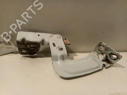 Hinge/Door check strap RENAULT KANGOO Express (FC0/1_) 1.5 dCi (FC1R) | BP16242431C146 