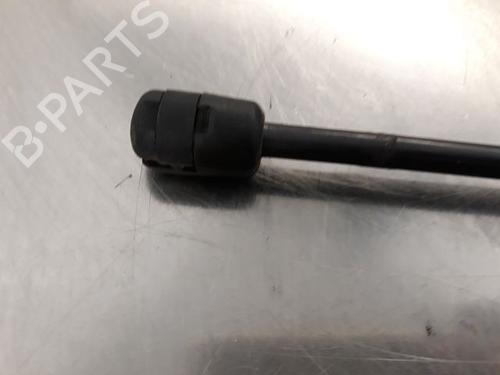 Tailgate lift support CITROËN DS4 (NX_) 1.6 HDi 115 | BP14867919C138 