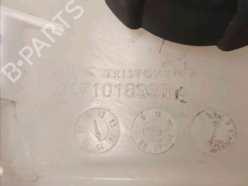 Expansion tank RENAULT KANGOO Express (FW0/1_)  | BP21781947C120 