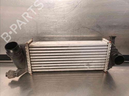 Intercooler MERCEDES-BENZ CITAN Box Body/MPV (W415)  | BP21686050M30 