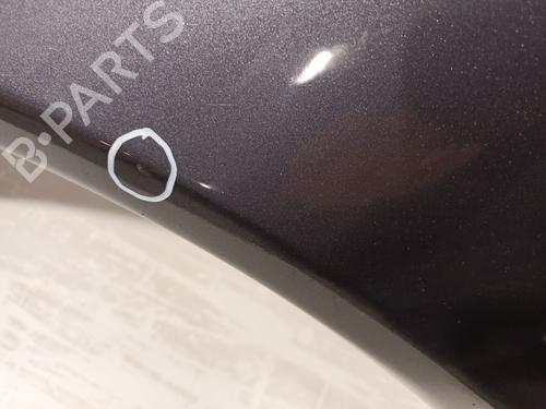 Left front fenders PEUGEOT 406 Coupe (8C) 2.0 16V | BP22244041C41 
