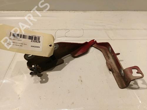 Used Hinge/Door check strap CITROËN C3 I (FC_, FN_) 1.4 HDi (68 hp) 15138184