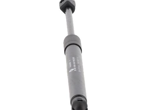 Tailgate lift support DACIA SPRING EV (B6M1) | BP21802401C138 