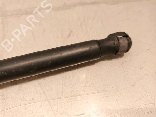 Tailgate lift support MINI MINI COUNTRYMAN (R60) One | BP16979416C138 