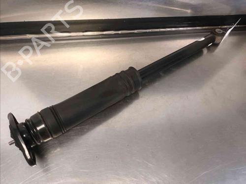 Used Right rear shock absorber NISSAN MICRA V (K14) 1.5 DCI (90 hp) 21781833