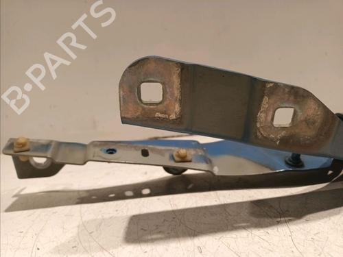 Hinge/Door check strap RENAULT CLIO IV (BH_) 1.5 dCi 90 | BP18731857C146 