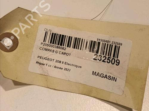 Hinge/Door check strap PEUGEOT 208 II (UB_, UP_, UW_, UJ_) e-208 | BP17551710C146 
