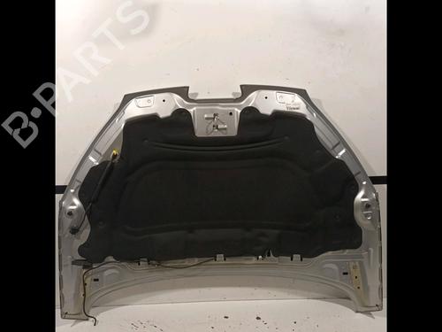 Hood PEUGEOT 407 SW (6E_, 6D_) 2.0 HDi 135 | BP15199613C1 