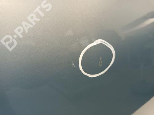 Right front door FORD C-MAX (DM2) 1.6 TDCi | BP9340181C3 