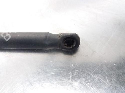 Gasfjeder motorhjelm FIAT STILO (192_) 1.9 JTD (192_XE1A) | BP20600657C139 