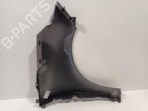 Left front fenders RENAULT SCÉNIC III (JZ0/1_) 1.9 dCi (JZ0J, JZ1J, JZ1K, JZ1S) | BP23141844C41 
