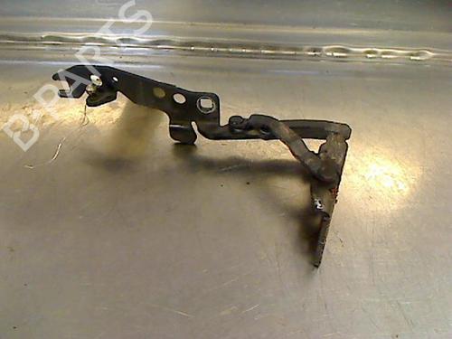 Used Hinge/Door check strap BMW X5 (E53) 3.0 d (211 hp) 14865799