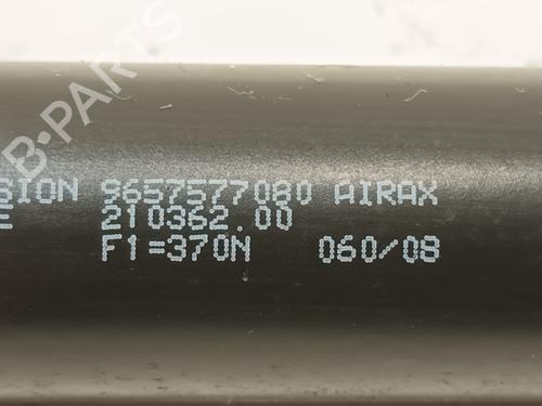 Tailgate lift support CITROËN XSARA PICASSO (N68) 1.6 HDi | BP21802130C138 