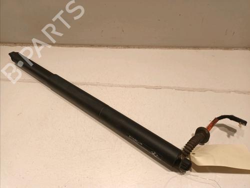 Used Tailgate lift support BMW X1 (F48) sDrive 16 d (116 hp) 16647982