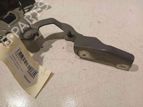 Hinge/Door check strap RENAULT TRAFIC III Van (FG_) 1.6 dCi 120 (FGMK) | BP20605789C146 