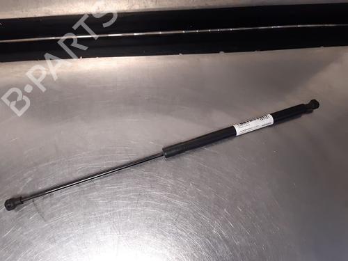 Used Hood lift support DACIA SANDERO II 1.0 SCe 75 (B8JC, B8JD) (73 hp) 14866179
