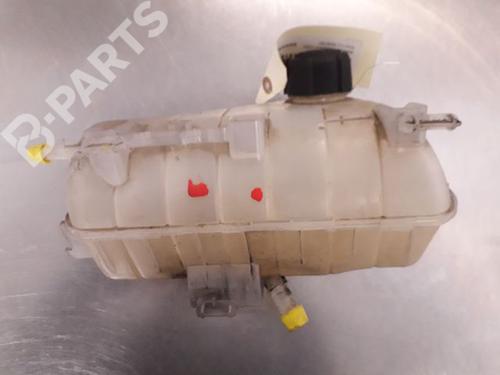 Used Expansion tank RENAULT KANGOO / GRAND KANGOO II (KW0/1_) 1.5 dCi 90 (KW05, KW08, KW0G, KW11) (90 hp) 9324293
