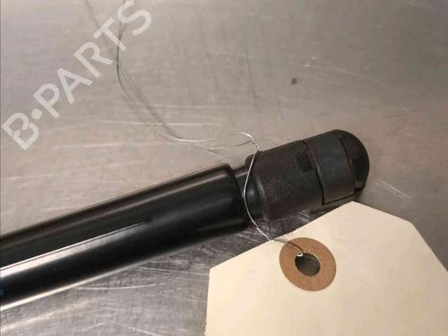 Tailgate lift support NISSAN JUKE (F16_) DIG-T 117 | BP21139078C138 