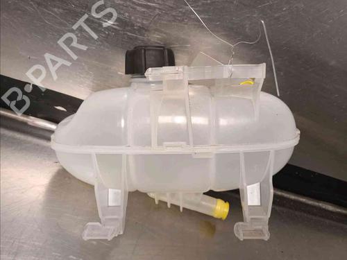 Expansion tank RENAULT TRAFIC III Van (FG_)  | BP21139040C120