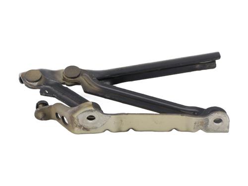 Used Hinge/Door check strap SKODA ROOMSTER (5J7) 1.9 TDI (105 hp) 31351965