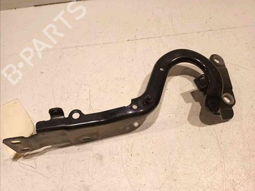 Hinge/Door check strap RENAULT ESPACE V (JR_)  | BP20606000C146 