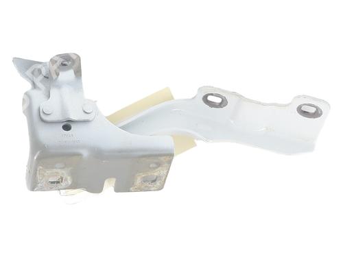 Hinge/Door check strap RENAULT SCENIC E-TECH PHASE I EV87 | BP28162563C146 