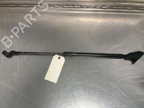 Used Tailgate lift support NISSAN QASHQAI / QASHQAI +2 I (J10, NJ10, JJ10E) 1.6 dCi (130 hp) 14867871