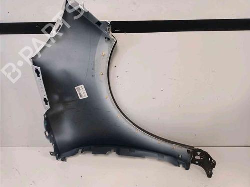 Left front fenders RENAULT SCÉNIC III (JZ0/1_) 1.6 dCi (JZ00, JZ12) | BP21587443C41