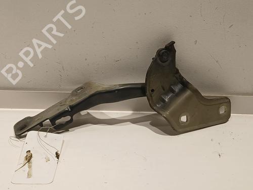 Hinge/Door check strap RENAULT CLIO III (BR0/1, CR0/1) 1.5 dCi (BR17, CR17) | BP20609175C146 
