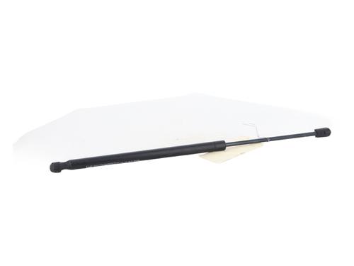tailgate-lift-support-renault-scenic-ii-jm01_-2003-2004-2005-2006-2007-2008-2009-2010-36291444 main image
