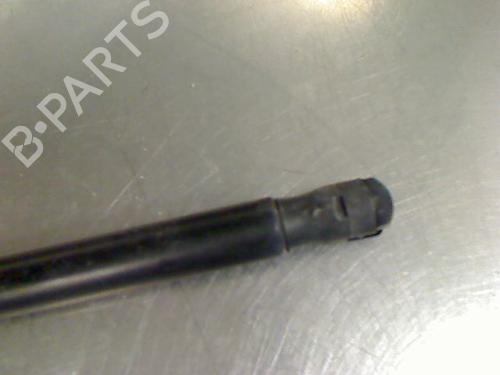 Tailgate lift support NISSAN MICRA III (K12) 1.2 16V | BP14867845C138 