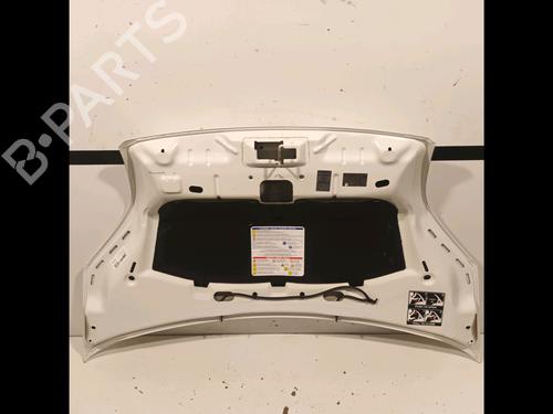 Hood PEUGEOT BIPPER (AA_) 1.4 HDi | BP17241473C1