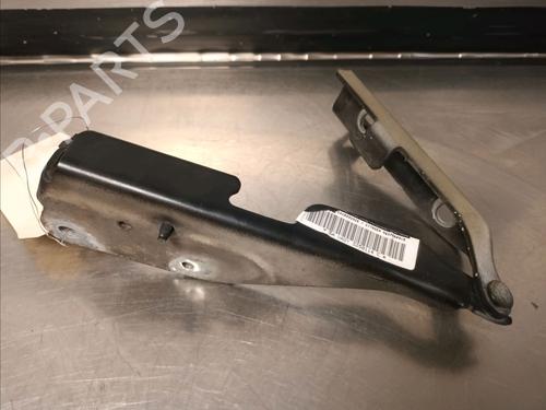 Hinge/Door check strap CITROËN C3 Pluriel (HB_) 1.4 HDi | BP14865884C146 