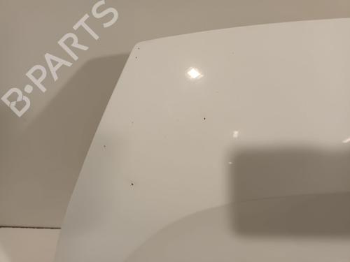 Hood RENAULT MASTER III Van (FV) | BP30919465C1