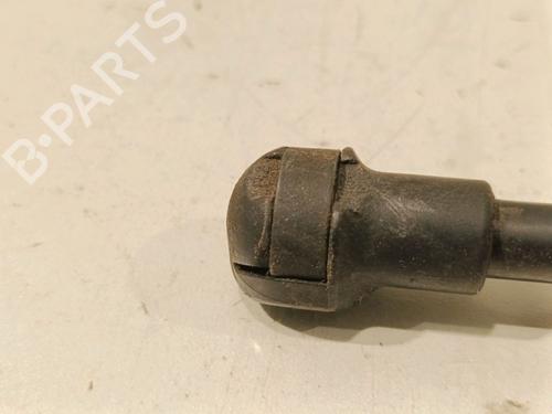 Tailgate lift support RENAULT KADJAR (HA_, HL_) 1.2 TCe 130 (HLMR) | BP15273637C138 