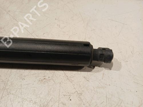Tailgate lift support BMW X2 (F39) sDrive 18 d | BP18824214C138 