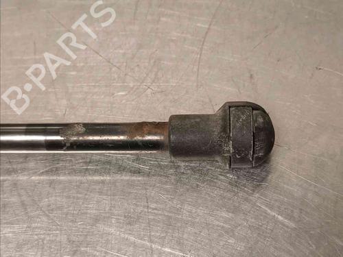 Tailgate lift support JAGUAR S-TYPE II (X200) 3.0 V6 | BP21139106C138 